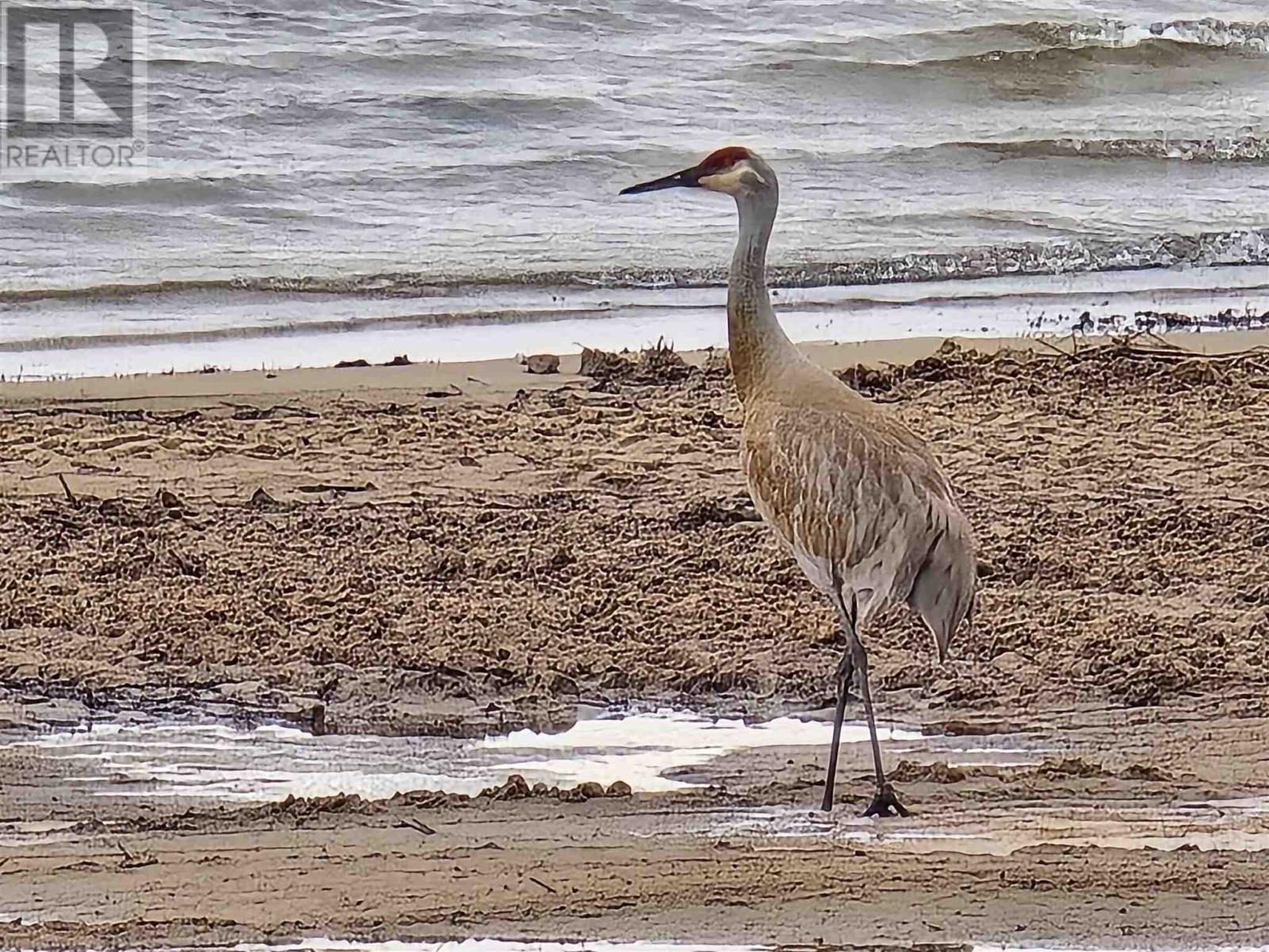 1141 Adcock Dr, Jocelyn, Ontario  P0R 1G0 - Photo 5 - SM260208