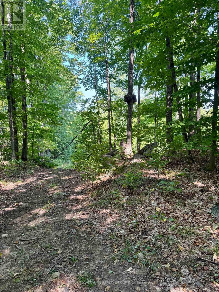 261a Copeland Lake Road, Addington Highlands, Ontario  K0H 1L0 - Photo 13 - X12792794