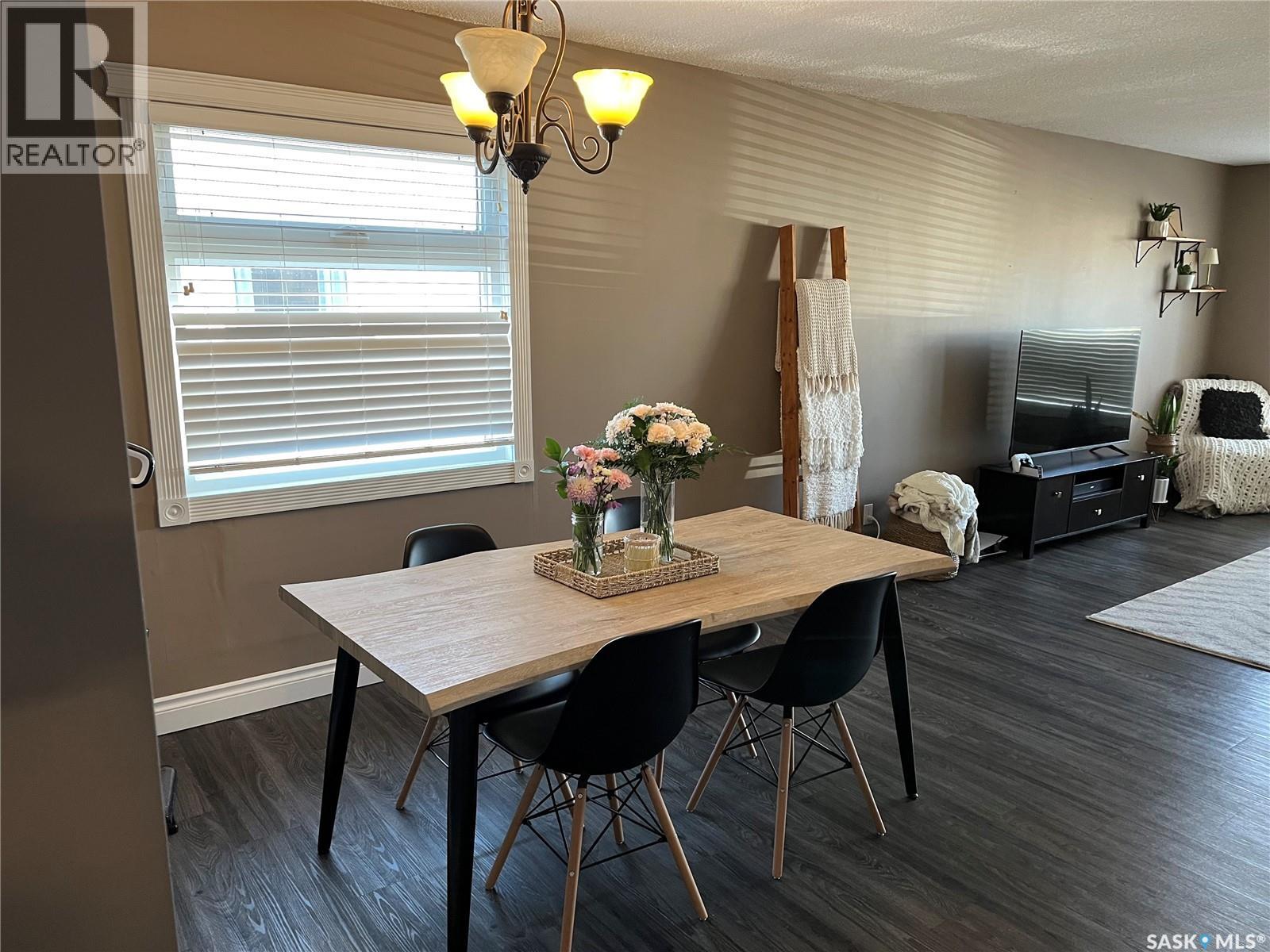 207 Dominion Road, Assiniboia, Saskatchewan  S0H 0B0 - Photo 14 - SK028694