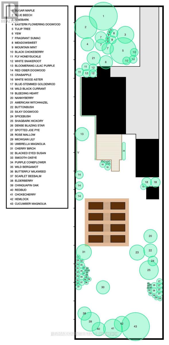 9 Wilkins Street, Belleville, Ontario  K8P 1P2 - Photo 27 - X12714634