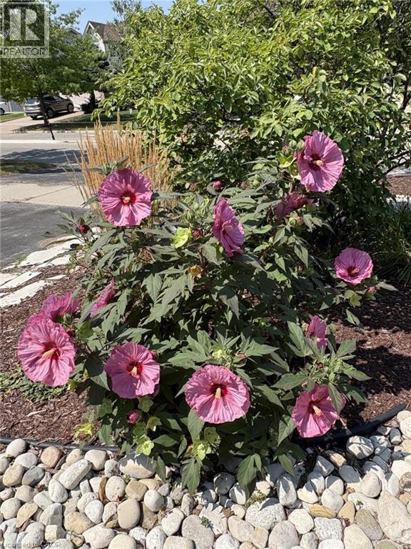 113 Deer Ridge Drive, Kitchener, Ontario  N2P 2K9 - Photo 49 - 40805511