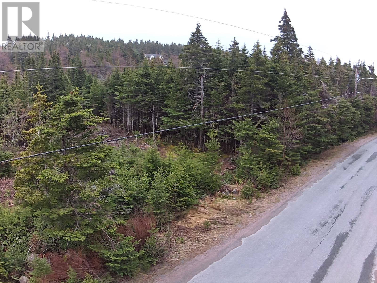 54-56 Ridge Road, Holyrood, Newfoundland & Labrador  A0A 2R0 - Photo 5 - 1294577