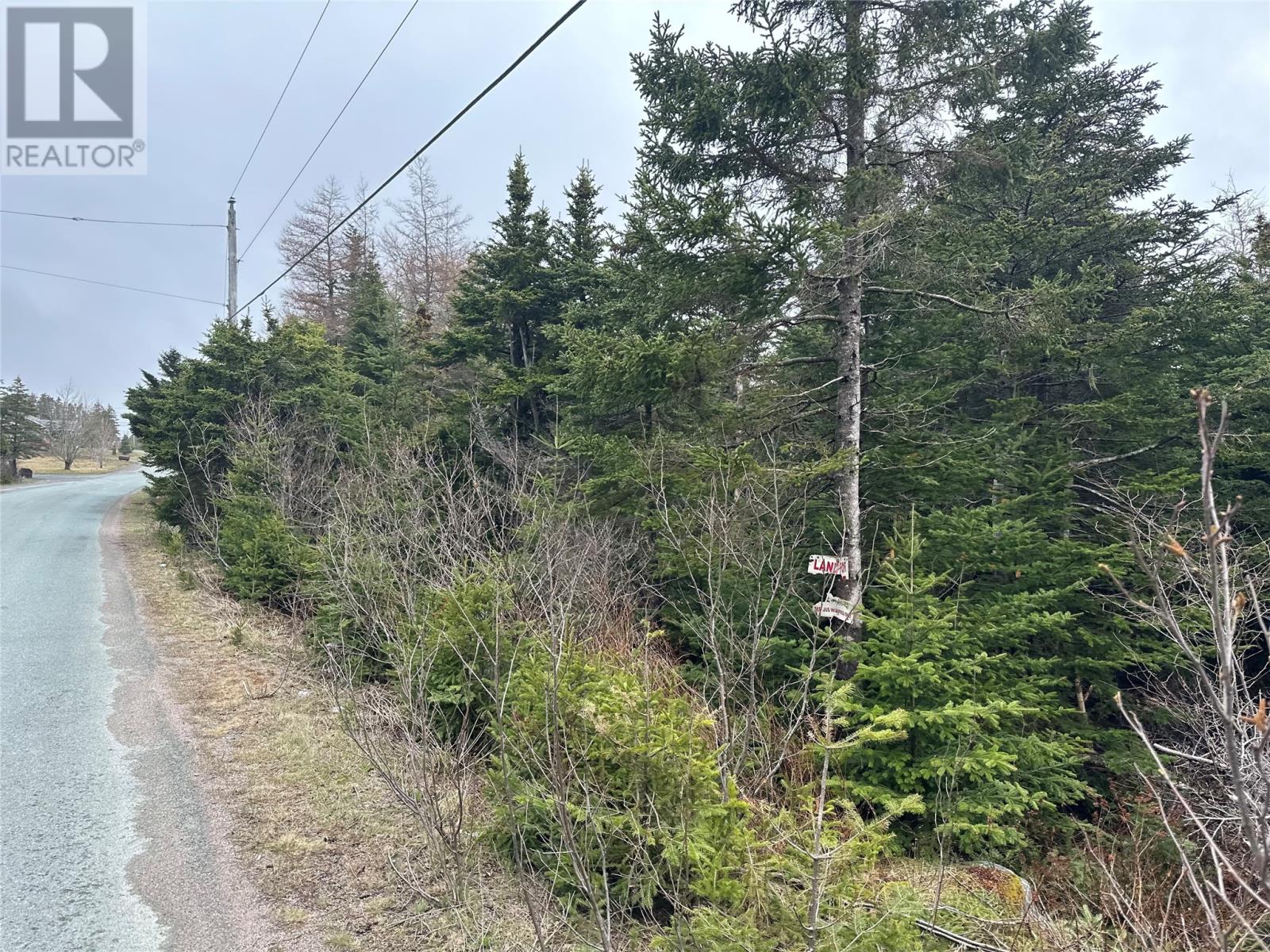 54-56 Ridge Road, Holyrood, Newfoundland & Labrador  A0A 2R0 - Photo 2 - 1294577