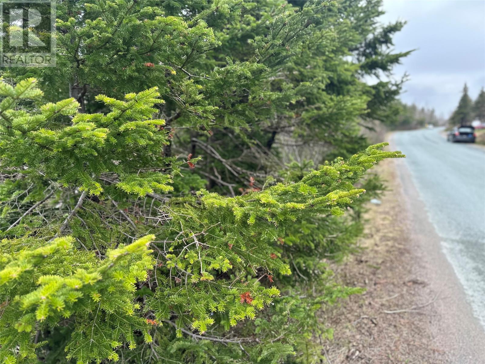 54-56 Ridge Road, Holyrood, Newfoundland & Labrador  A0A 2R0 - Photo 6 - 1294577