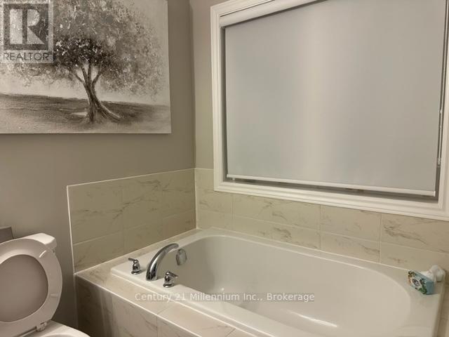 15 Lett Avenue, Collingwood, Ontario  L9Y 0Z5 - Photo 15 - S12793248