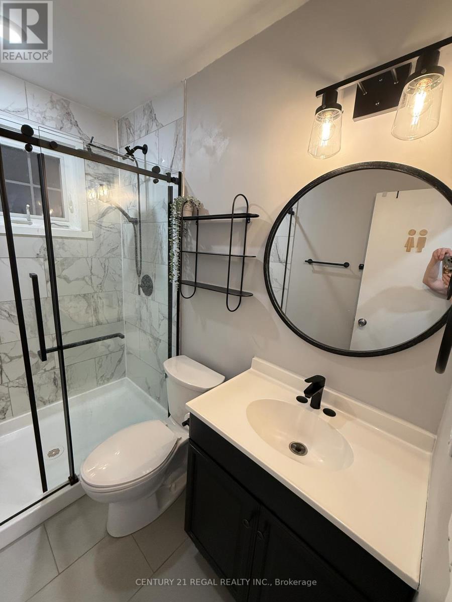 Main - 257 Silverbirch Drive, Newmarket (Bristol-London), Ontario  L3Y 2Z6 - Photo 16 - N12793002