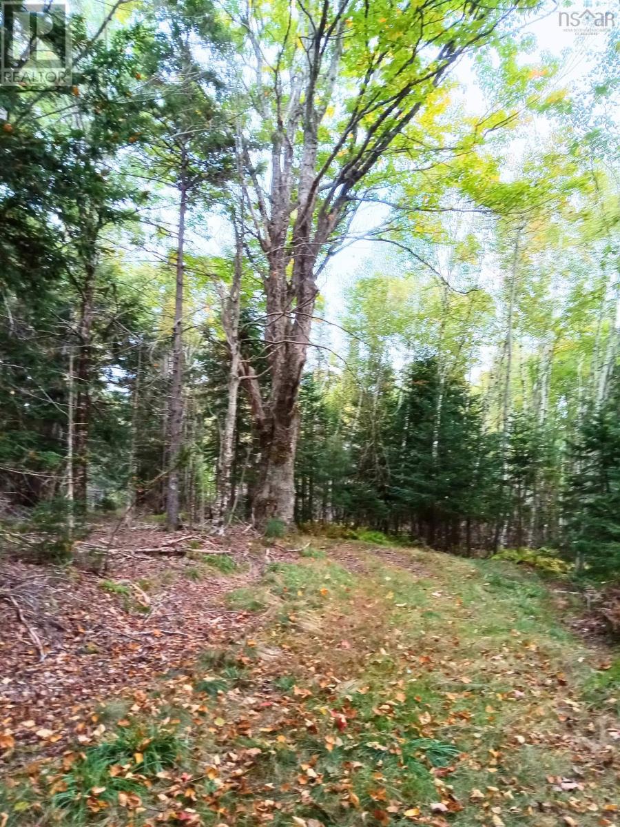 258 Moyle Mader Road, Maitland, Nova Scotia  B0J 1E0 - Photo 11 - 202602838