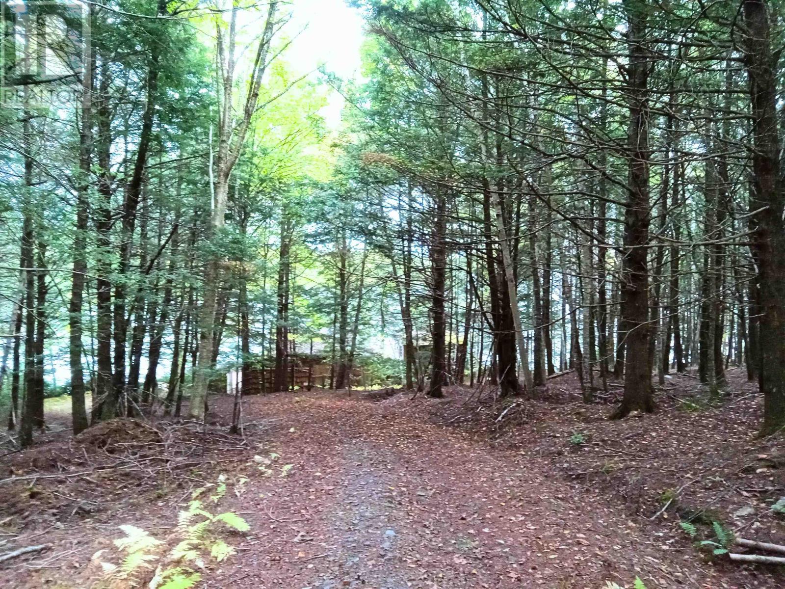 258 Moyle Mader Road, Maitland, Nova Scotia  B0J 1E0 - Photo 3 - 202602838