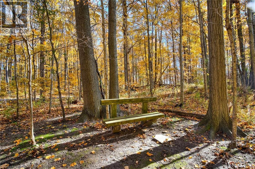 35 Green Valley Drive Unit# 204, Kitchener, Ontario  N2P 2A5 - Photo 28 - 40805520