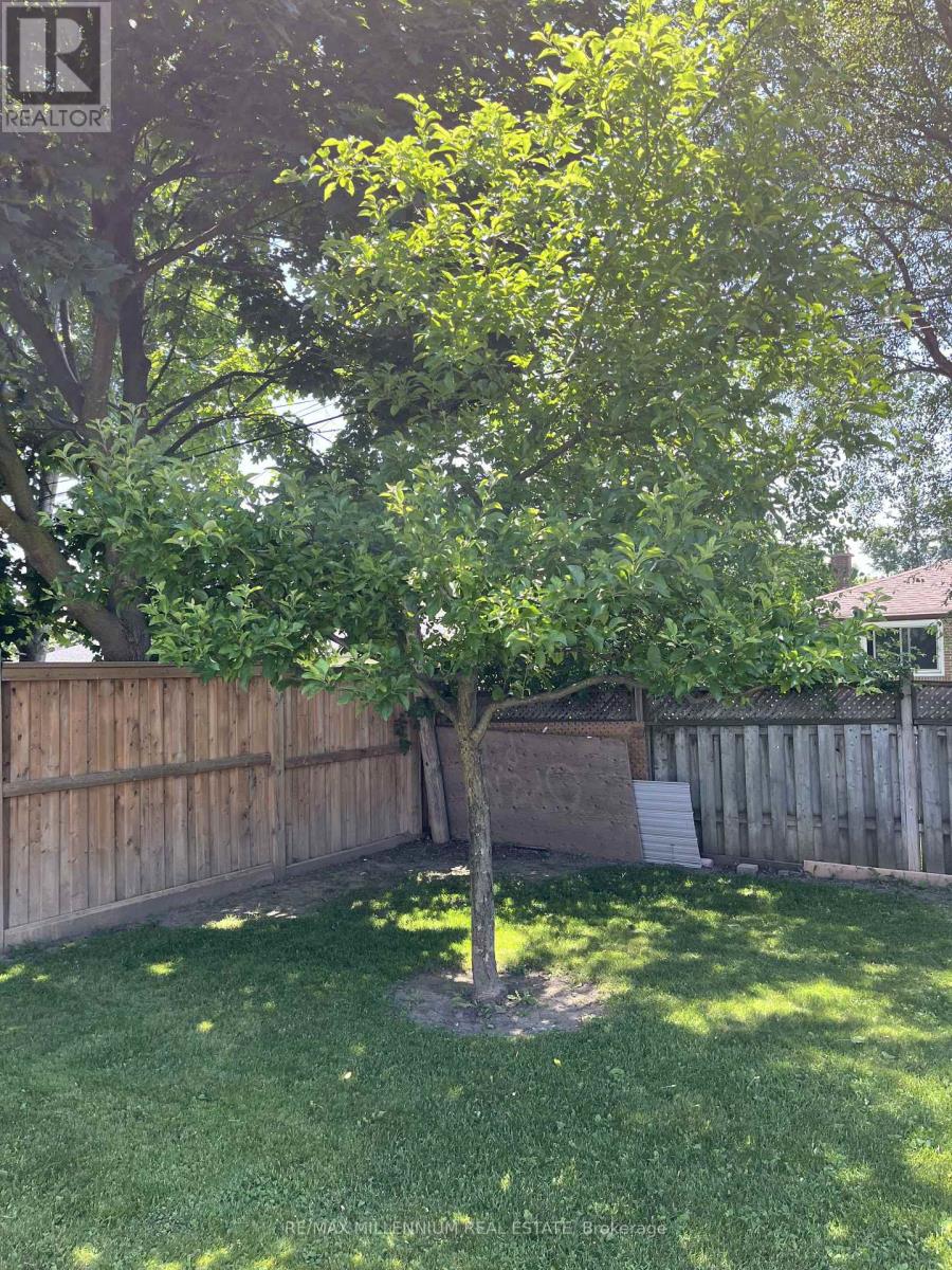 50 Stevens Crescent, Halton Hills, Ontario  L7G 1B6 - Photo 19 - W12793322