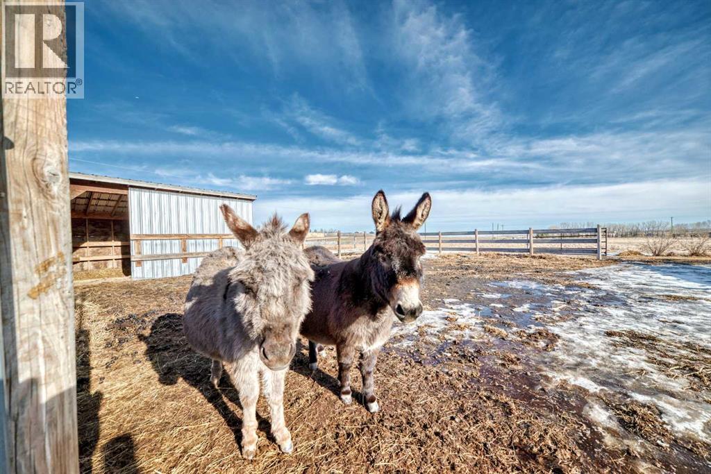 263101 Range Road 14, Rural Rocky View County, Alberta  T4B 3L5 - Photo 39 - A2284343