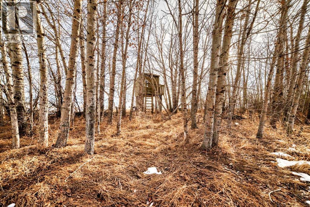 263101 Range Road 14, Rural Rocky View County, Alberta  T4B 3L5 - Photo 48 - A2284343