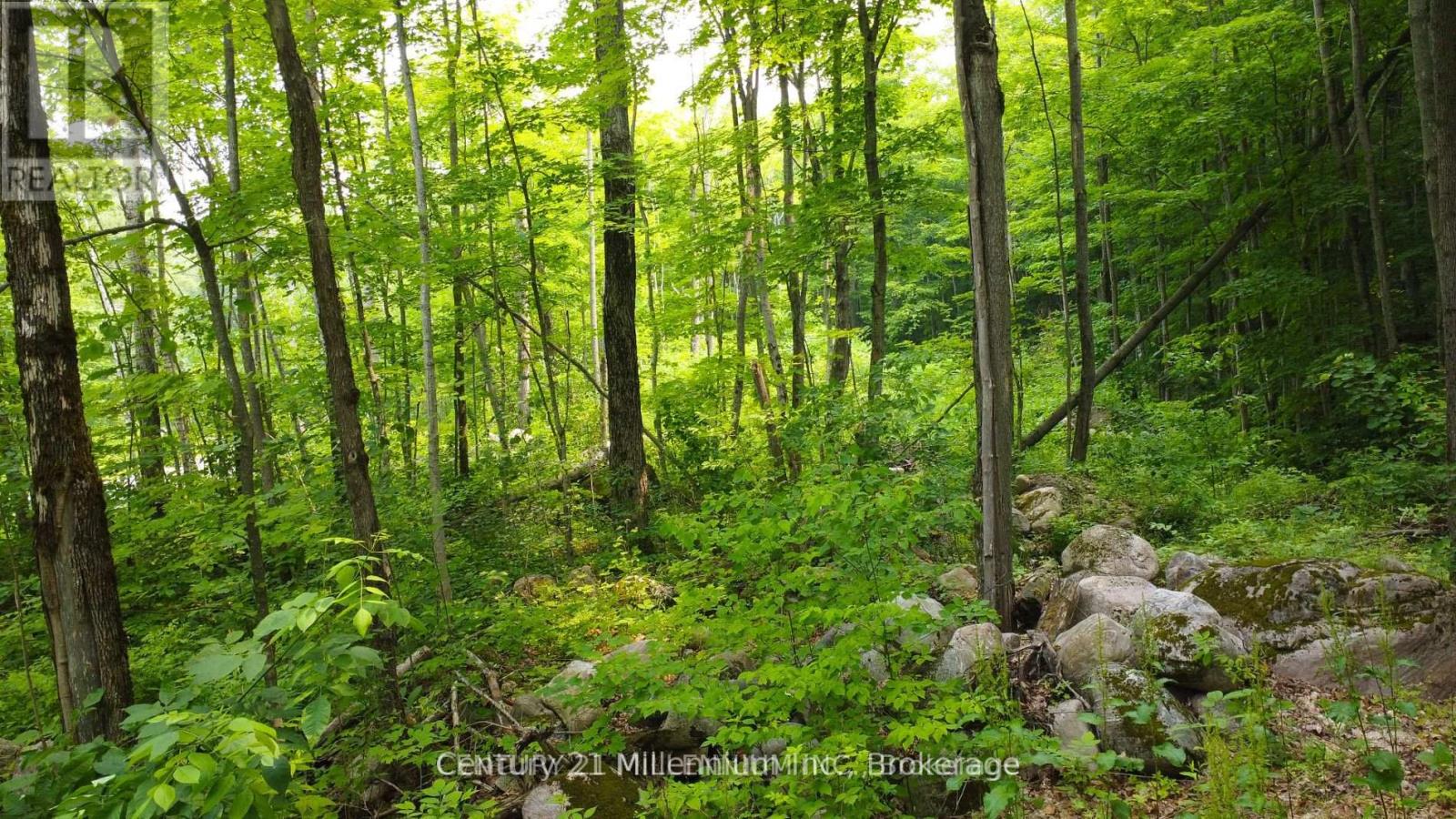 Lot 52 Tiny Beaches Road N, Tiny, Ontario  L9M 0H8 - Photo 4 - S12793588