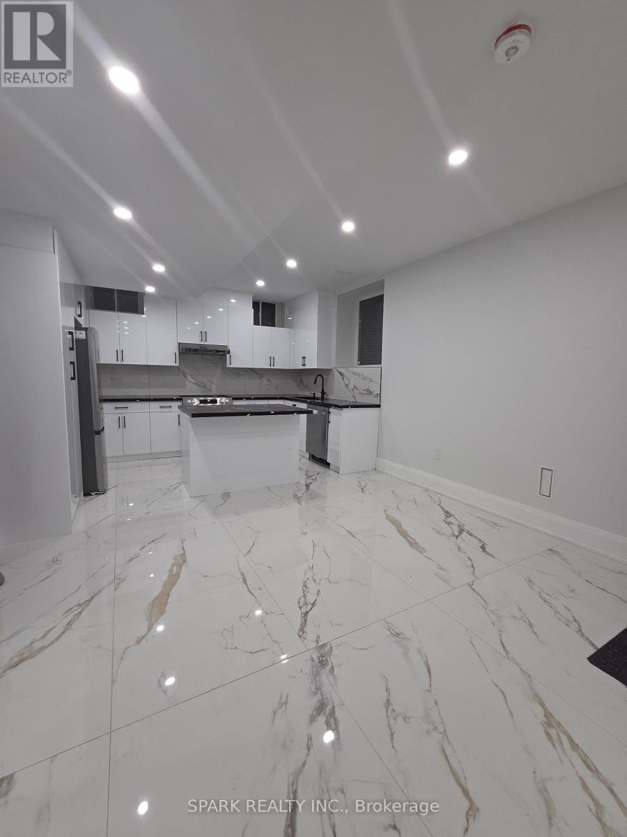 Basement - 1432 Yellow Rose Circle, Oakville, Ontario  L6M 5L2 - Photo 5 - W12731486