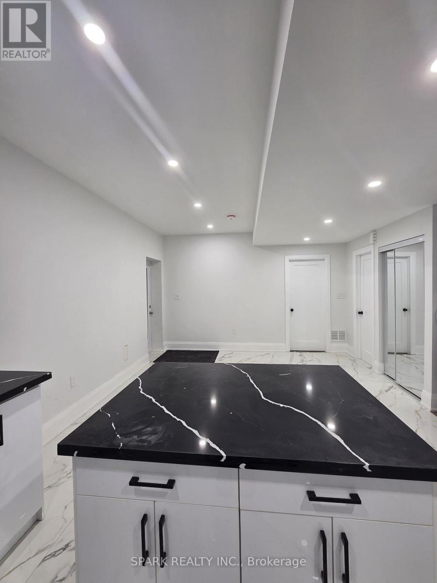 Basement - 1432 Yellow Rose Circle, Oakville, Ontario  L6M 5L2 - Photo 6 - W12731486