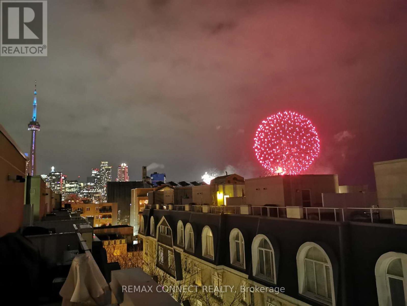 673 - 38 Stadium Road, Toronto, Ontario  M5V 3P4 - Photo 21 - C12793176