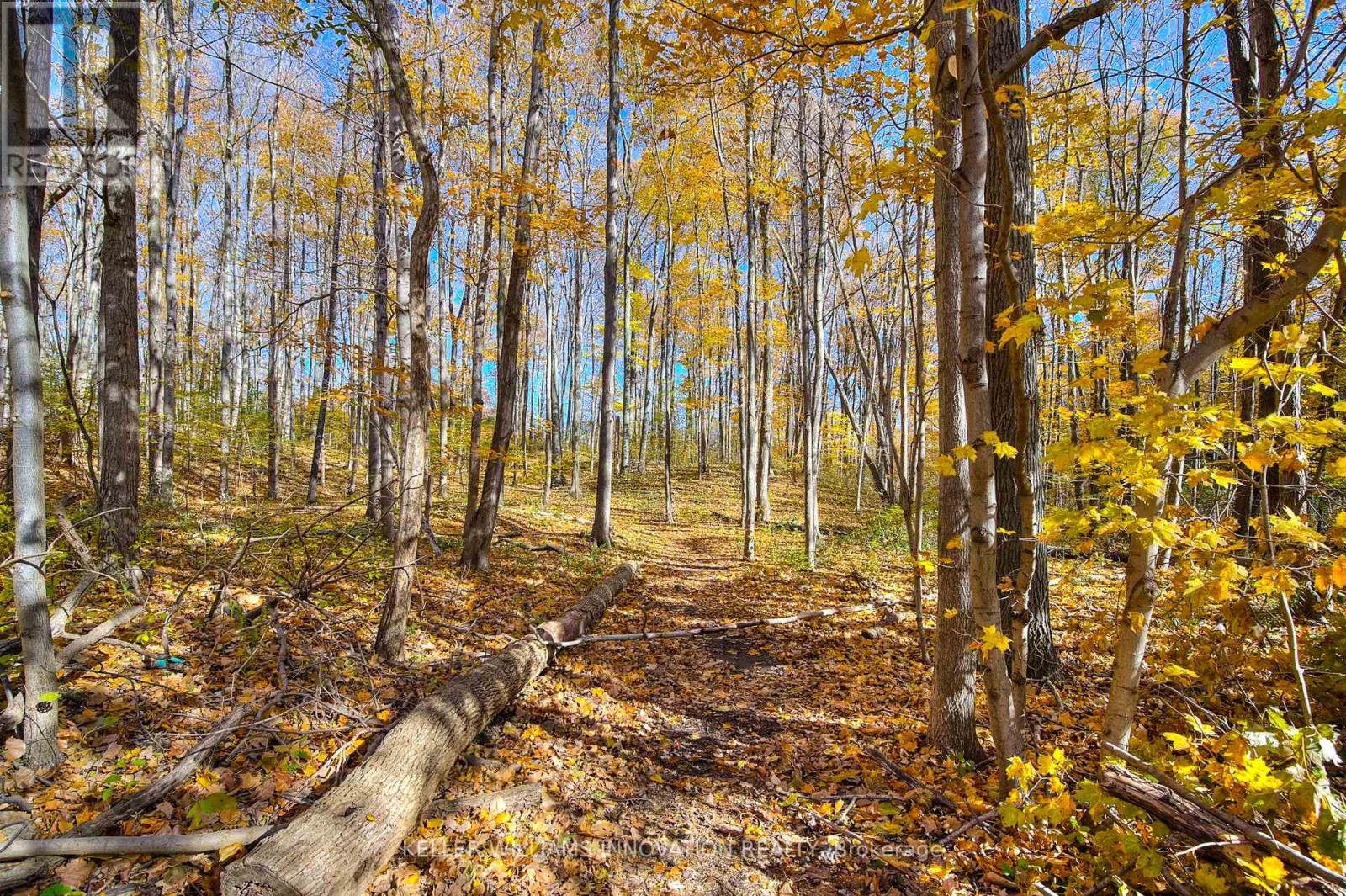 204 - 35 Green Valley Drive, Waterloo, Ontario  N2P 2A5 - Photo 26 - X12793676