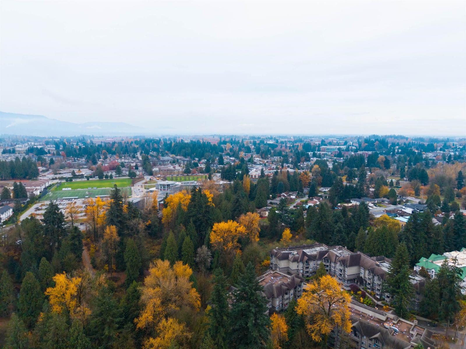 217 33400 Bourquin Place, Abbotsford, British Columbia  V2S 5G3 - Photo 35 - R3089625