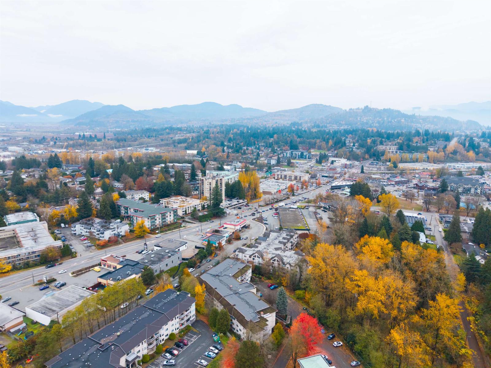 217 33400 Bourquin Place, Abbotsford, British Columbia  V2S 5G3 - Photo 34 - R3089625