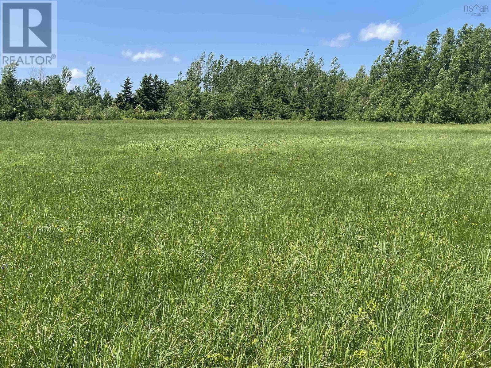 Lot 35 Saltwater Drive, Malagash, Nova Scotia  B0K 1E0 - Photo 8 - 202602855