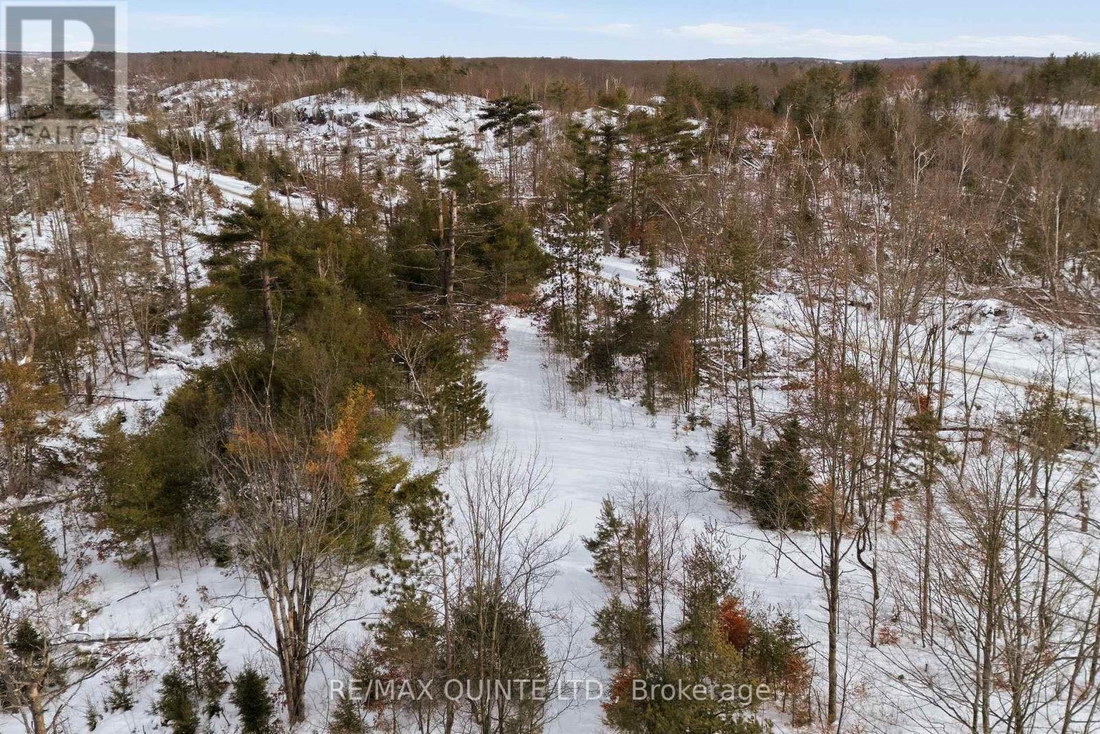 0 Potter Settlement Road, Tweed (Hungerford (Twp)), Ontario  K0K 3J0 - Photo 11 - X12793802