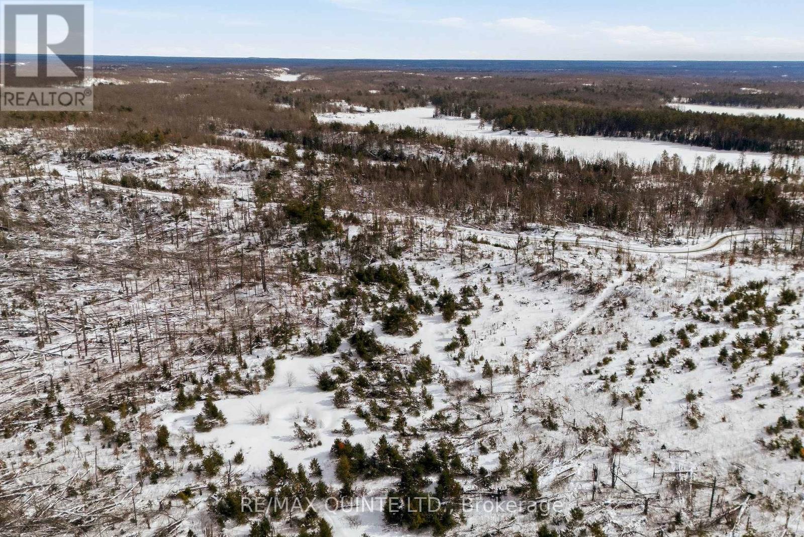 0 Potter Settlement Road, Tweed (Hungerford (Twp)), Ontario  K0K 3J0 - Photo 5 - X12793802