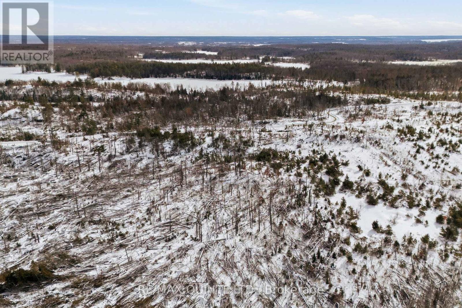 0 Potter Settlement Road, Tweed (Hungerford (Twp)), Ontario  K0K 3J0 - Photo 6 - X12793802