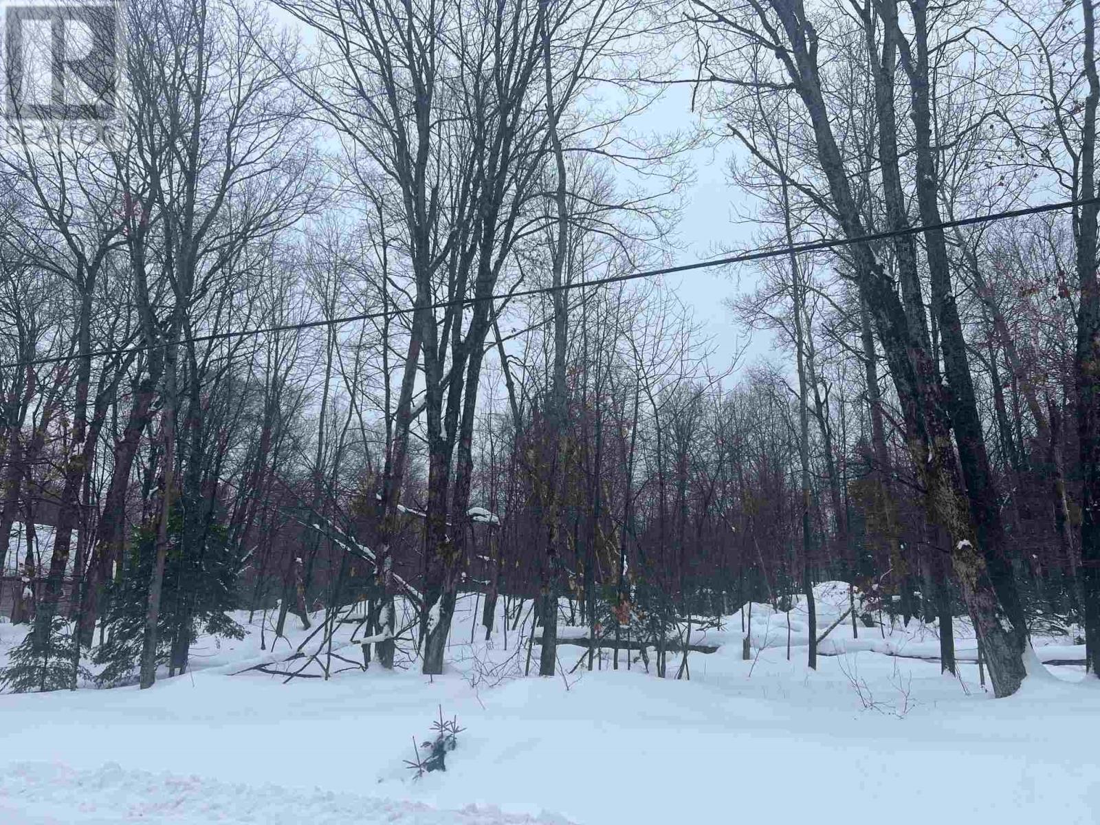 17 Lot D Con Canoe Point Rd, Hilton Beach, Ontario  P0R 1G0 - Photo 5 - SM260311