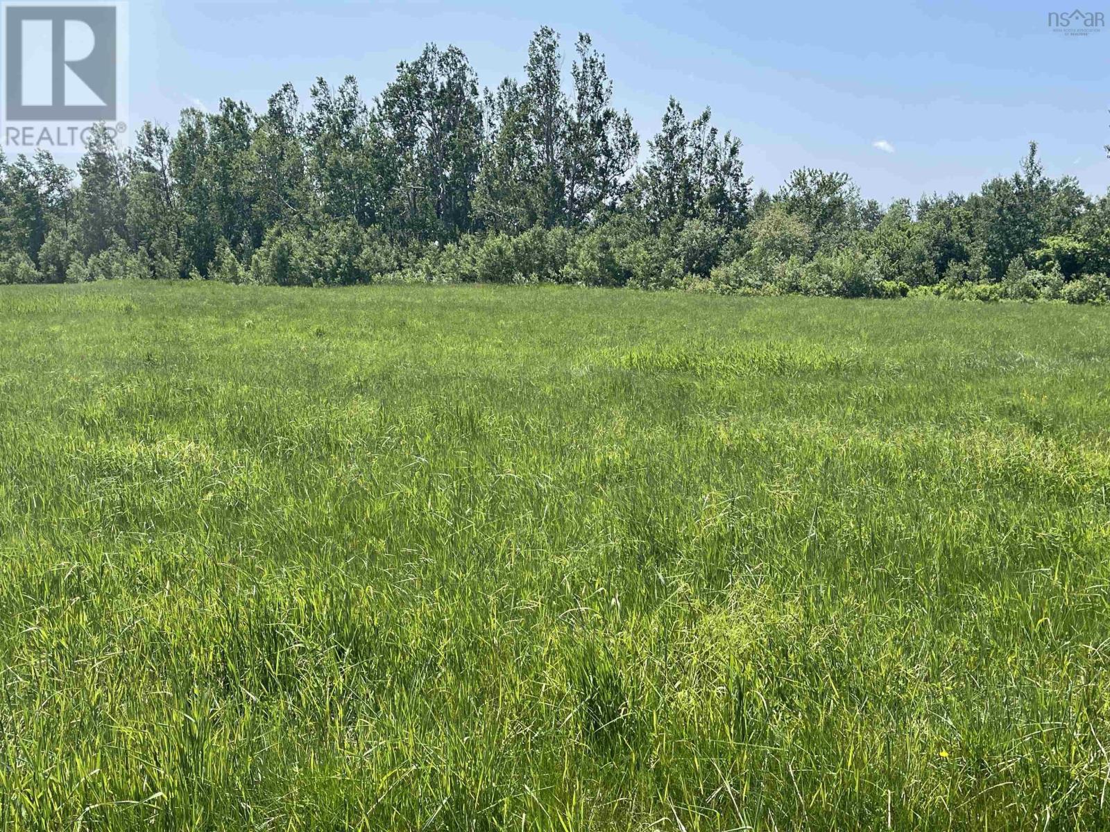 Lot 36 Saltwater Drive, Malagash, Nova Scotia  B0K 1E0 - Photo 9 - 202602856