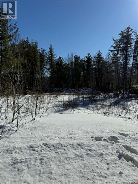 Lot Harper Settlement Road, Harper Settlement, New Brunswick  E4Z 1E6 - Photo 3 - NB133518