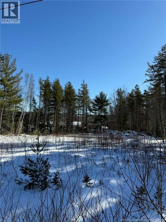 Lot Harper Settlement Road, Harper Settlement, New Brunswick  E4Z 1E6 - Photo 6 - NB133518
