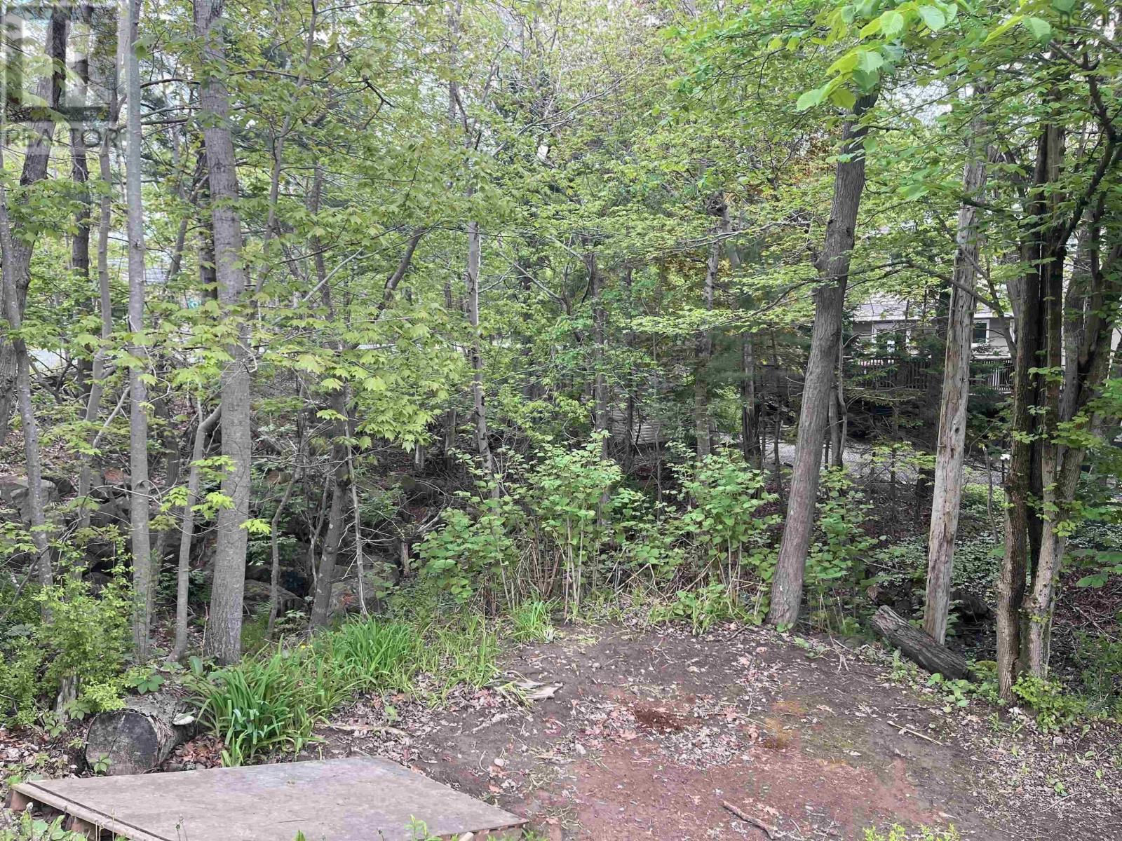 C6c Purcells Cove Road, Halifax, Nova Scotia  B3P 1C4 - Photo 14 - 202602861