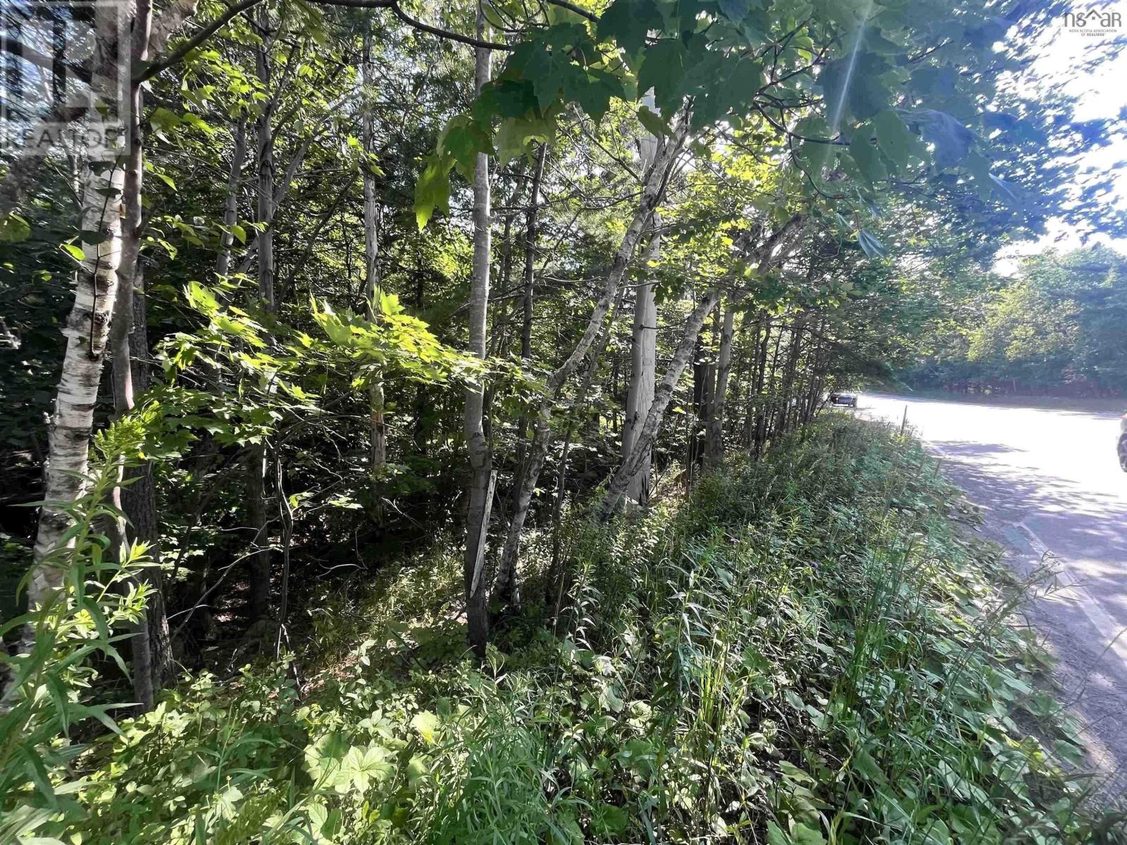 C6c Purcells Cove Road, Halifax, Nova Scotia  B3P 1C4 - Photo 4 - 202602861