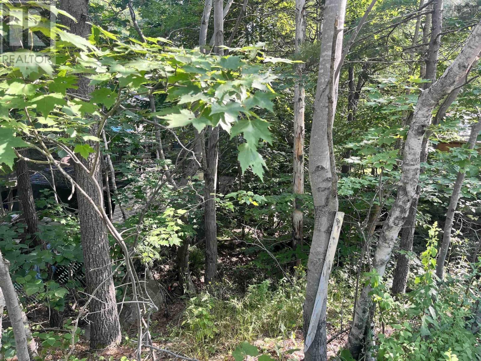 C6c Purcells Cove Road, Halifax, Nova Scotia  B3P 1C4 - Photo 6 - 202602861