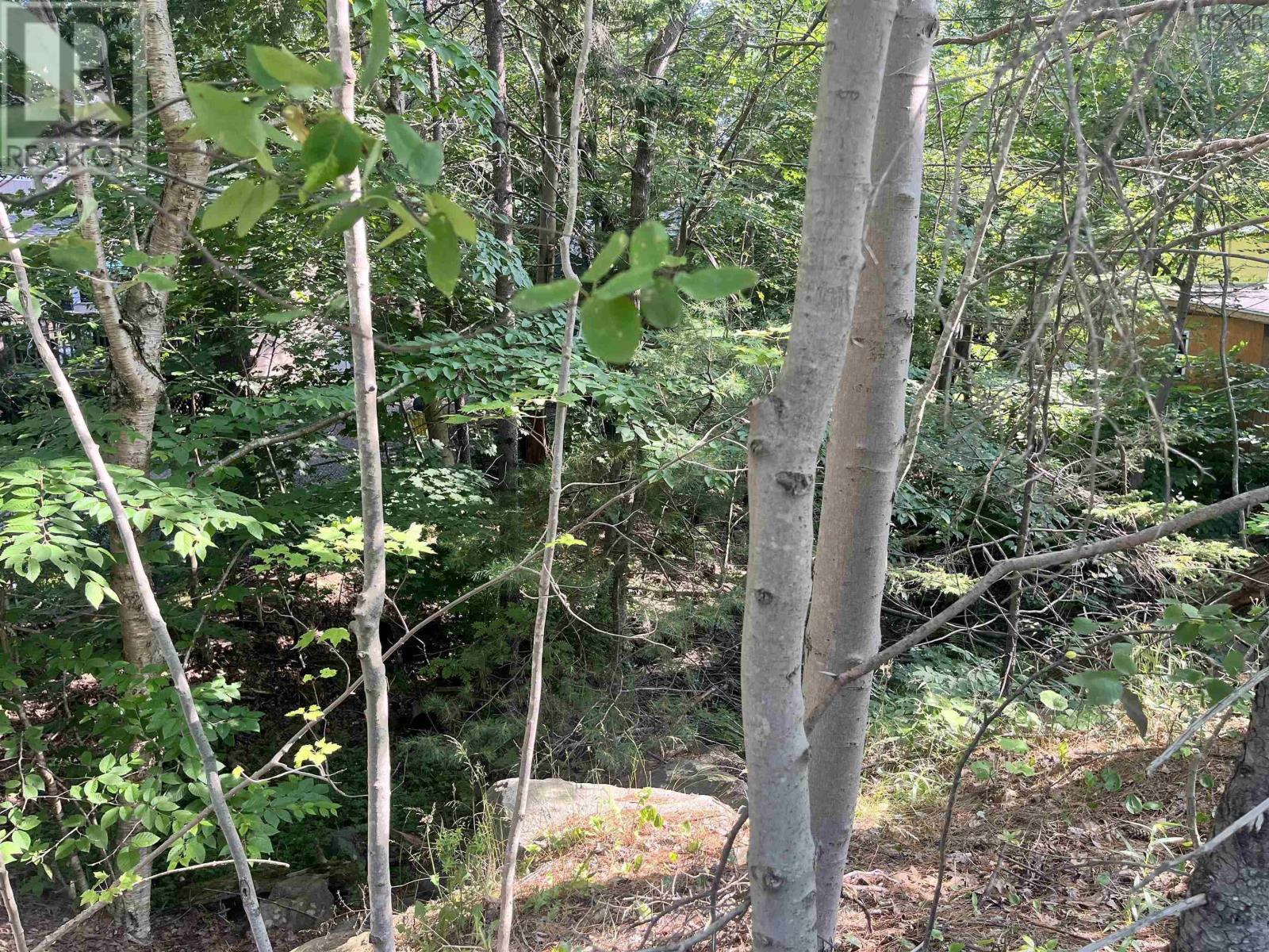 C6c Purcells Cove Road, Halifax, Nova Scotia  B3P 1C4 - Photo 9 - 202602861