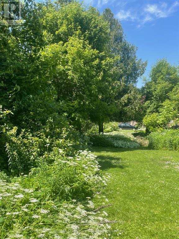 Lt1 Pt4 9th Street W, Owen Sound, Ontario  N4K 3N5 - Photo 2 - X12794072