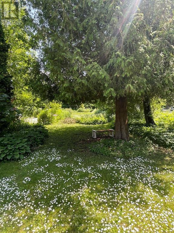 Lt1 Pt4 9th Street W, Owen Sound, Ontario  N4K 3N5 - Photo 5 - X12794072