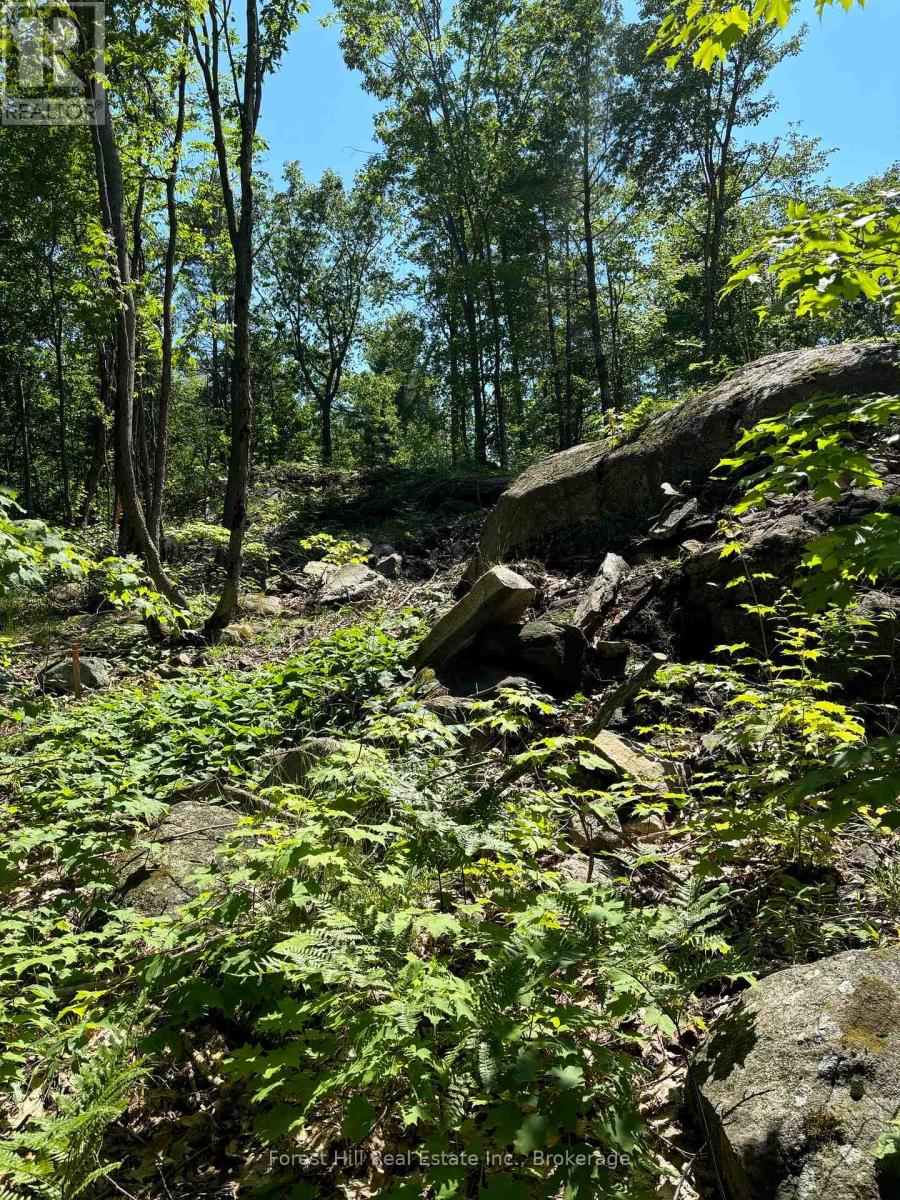 18 Hawkins Point Road, Georgian Bay, Ontario  P0C 1A0 - Photo 17 - X12794140