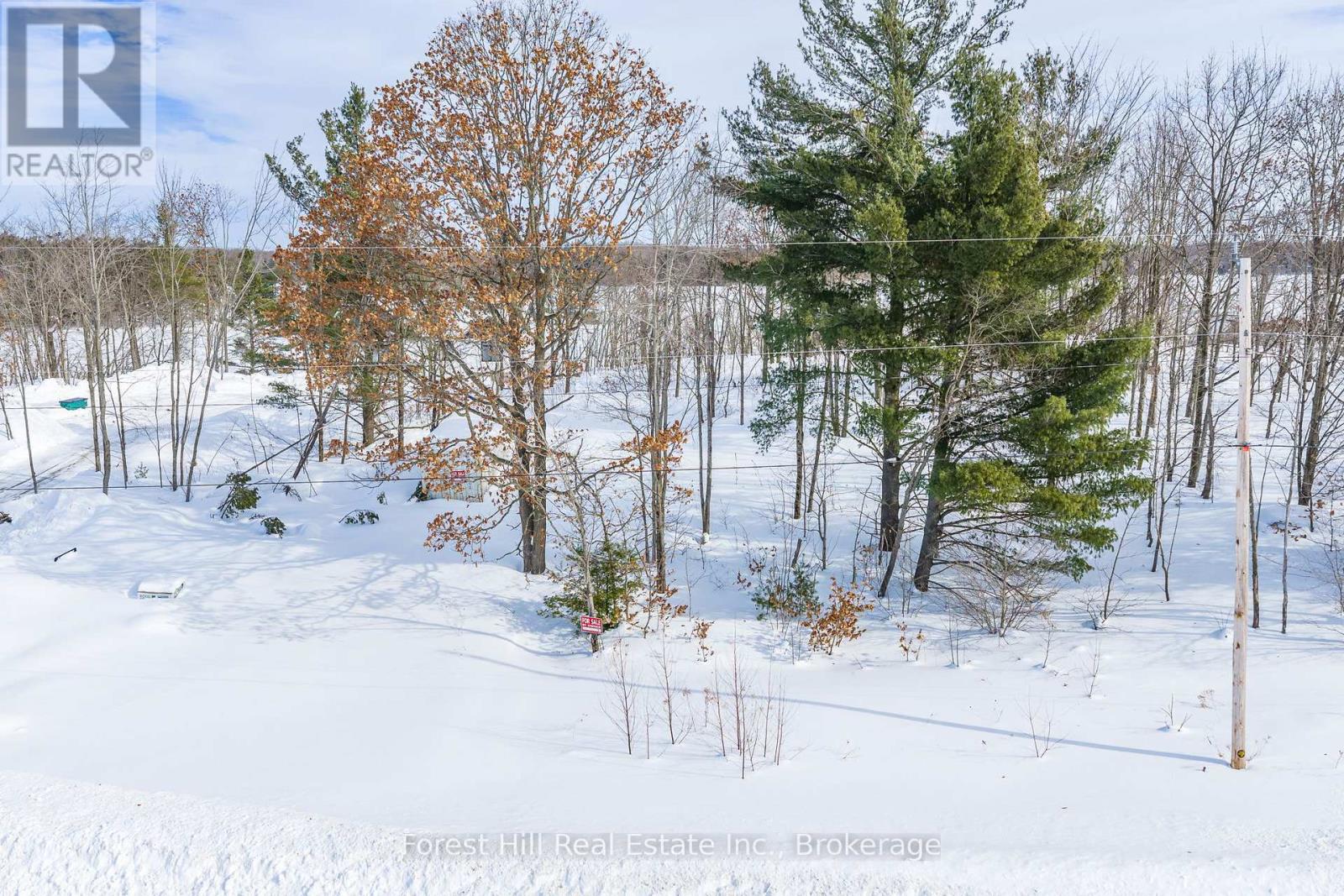 18 Hawkins Point Road, Georgian Bay, Ontario  P0C 1A0 - Photo 9 - X12794140