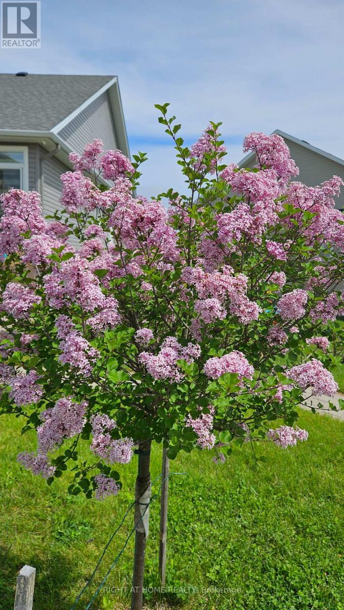 248 Maygrass Way, Ottawa, Ontario  K2S 2K9 - Photo 43 - X12793896