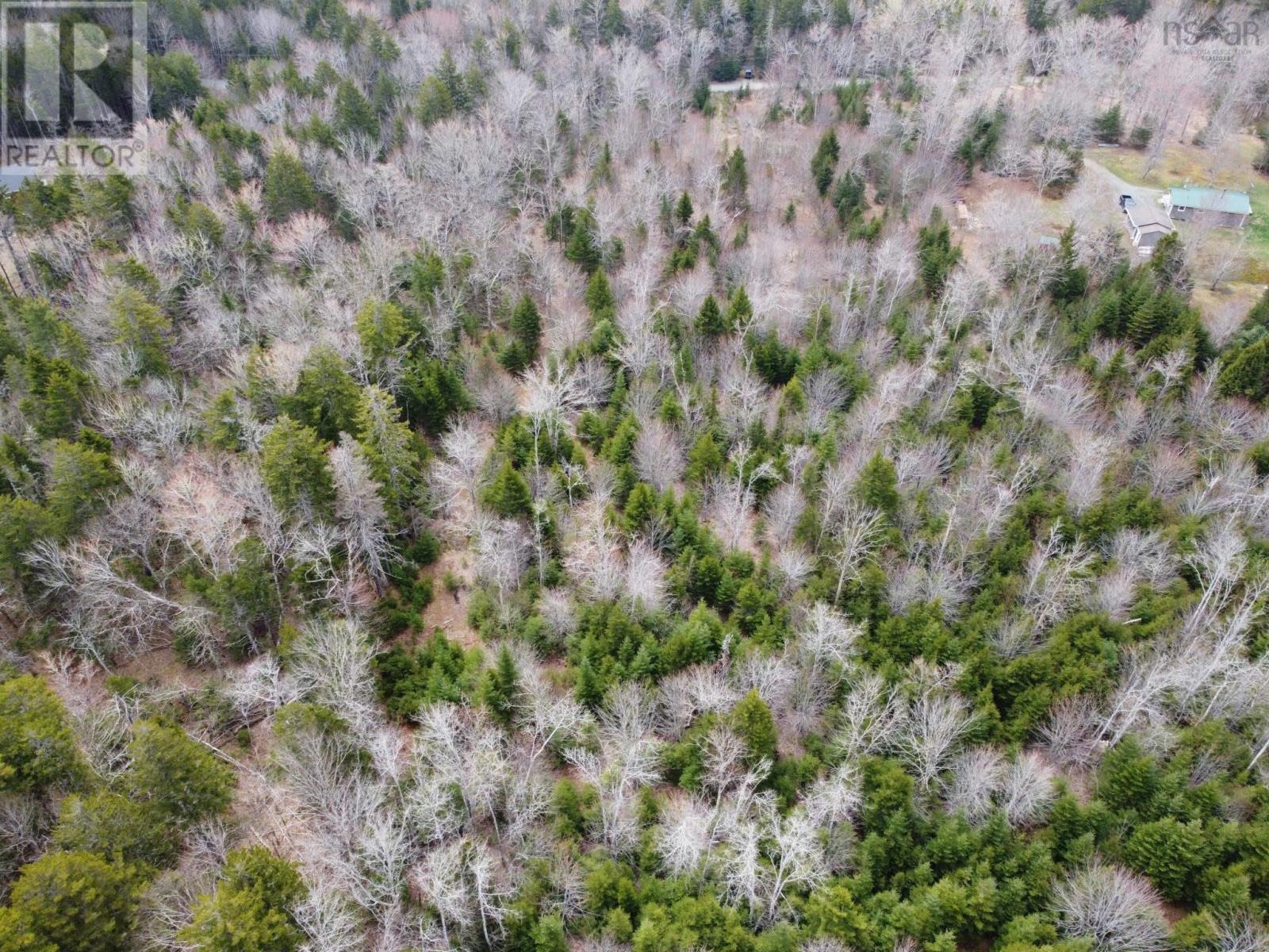 148 Mink Lake Drive, Kemptville, Nova Scotia  B0W 1L0 - Photo 9 - 202602865