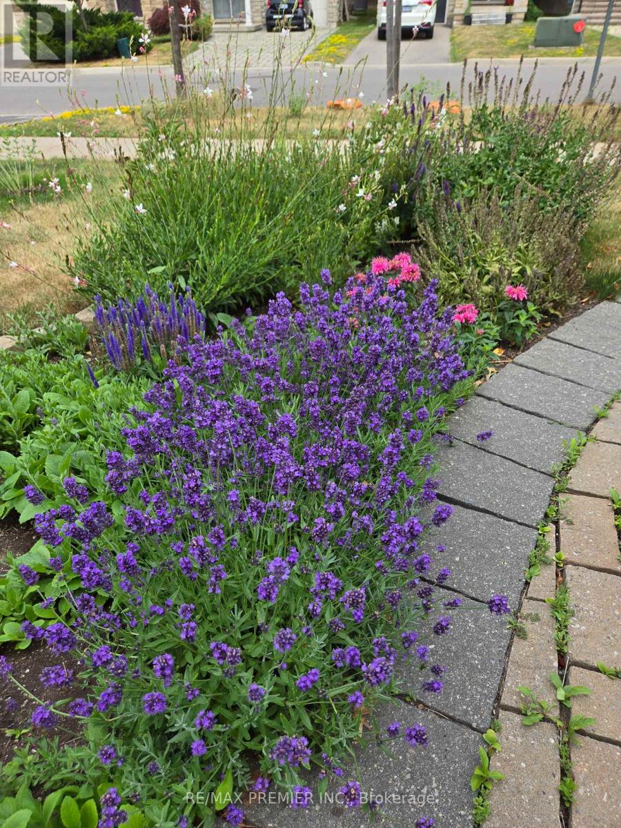 32 Blue Grouse Road, Vaughan, Ontario L6A 4B9 - Photo 39 - N12793814