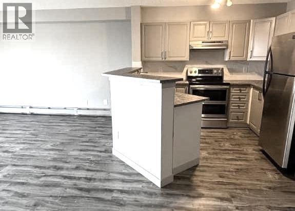 311, 1000 Citadel Meadow Point Nw, Calgary, Alberta  T3G 5N5 - Photo 7 - A2261523