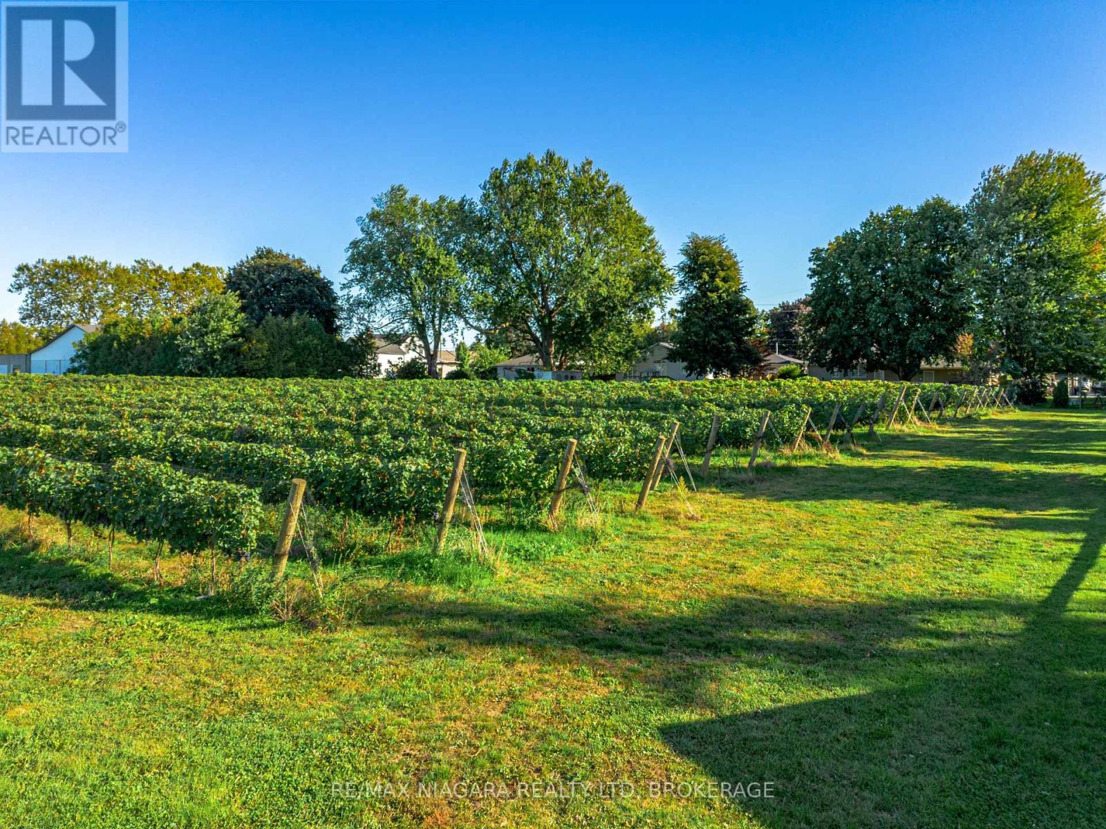 3349 Culp Road, Lincoln, Ontario  L0R 2E0 - Photo 48 - X12794222