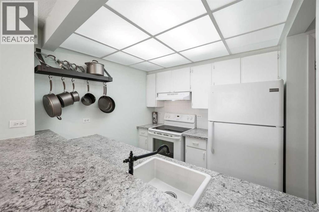 702, 1414 12 Street Sw, Calgary, Alberta  T3C 3T2 - Photo 12 - A2284613