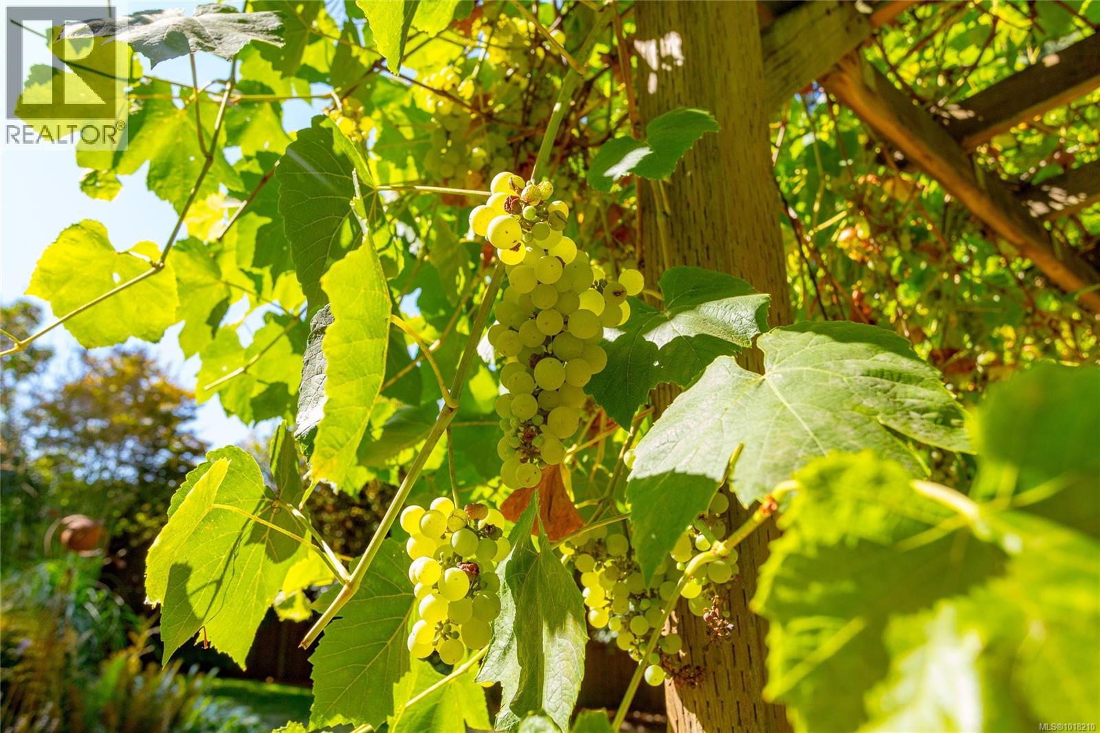 1215 Braithwaite Dr, Cobble Hill, British Columbia  V8H 0G3 - Photo 46 - 1018210