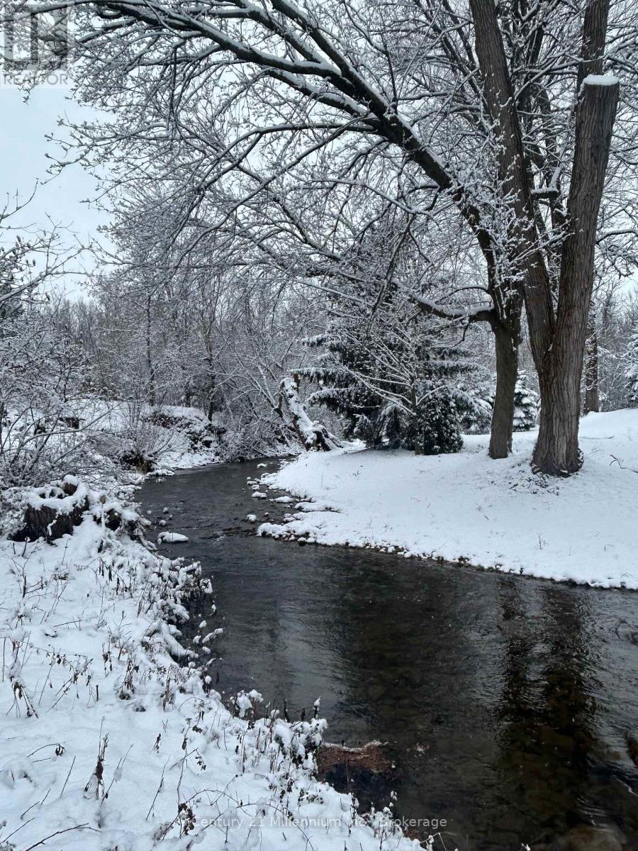 640 Mountain Road, Collingwood, Ontario  L9Y 5G3 - Photo 37 - S12793220