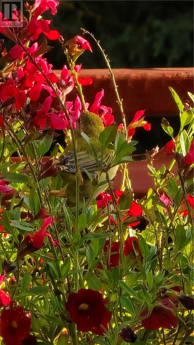 21 Vintage Way, Sudbury, Ontario  P3E 6L3 - Photo 54 - 2126429