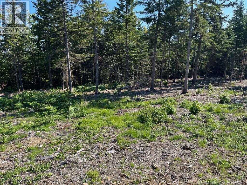 <h3>$132,900</h3><p>2021-1 Trailside Lane, Central Hainesville, New Brunswick</p>