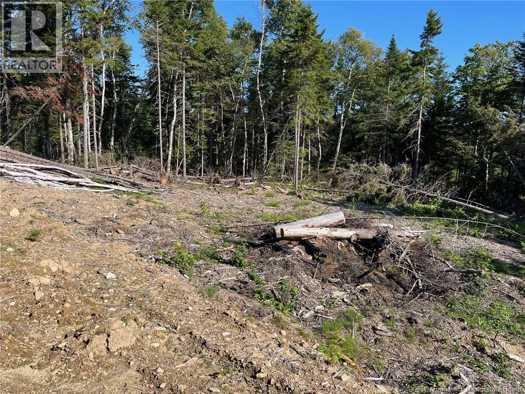 2021-1 Trailside Lane, Central Hainesville, New Brunswick E3E 1S1 - Photo 2 - NB133714